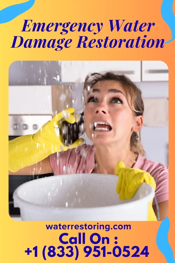 Emergency Water Damage Restoration in Romeville, LA