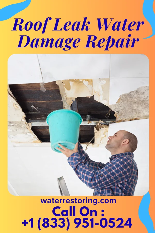 Roof Leak Water Damage Repair in Romeville, LA